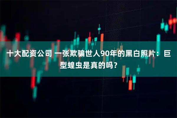十大配资公司 一张欺骗世人90年的黑白照片：巨型蝗虫是真的吗？